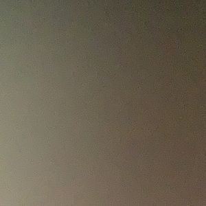 Meet your Posher, Danita